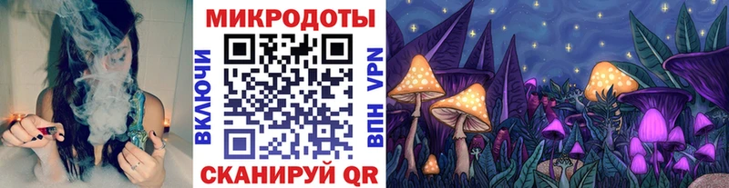 где купить   Кировск  Псилоцибиновые грибы Cubensis 