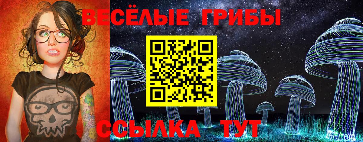 Галлюциногенные грибы мухоморы  Вход с VPN  Кировск  Галлюциногенные грибы мицелий 