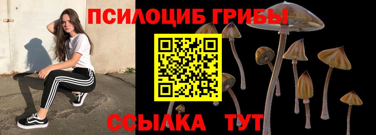 Псилоцибиновые грибы MAGIC MUSHROOMS  Кировск 
